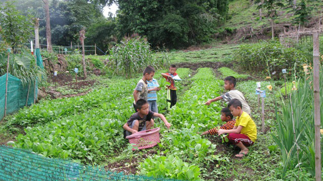 children taking care of the garden